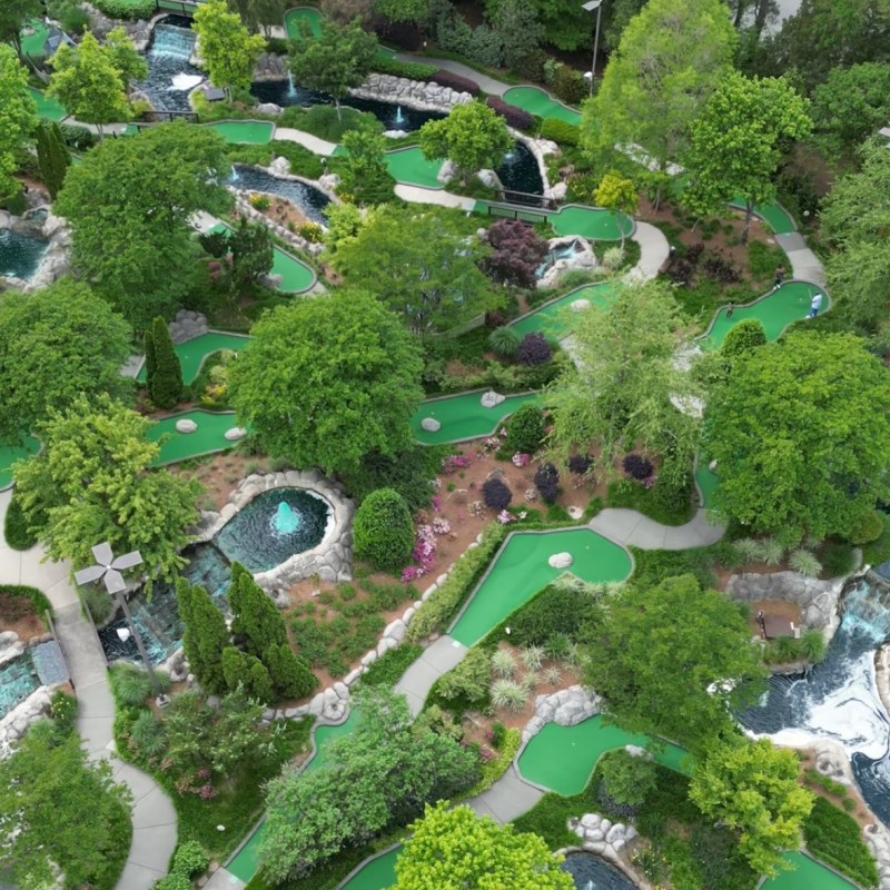 🎉 4 Best Websites for Family-Friendly Fun in Raleigh, NC (Plus 1 Must-Follow Local&nbsp;Mom)